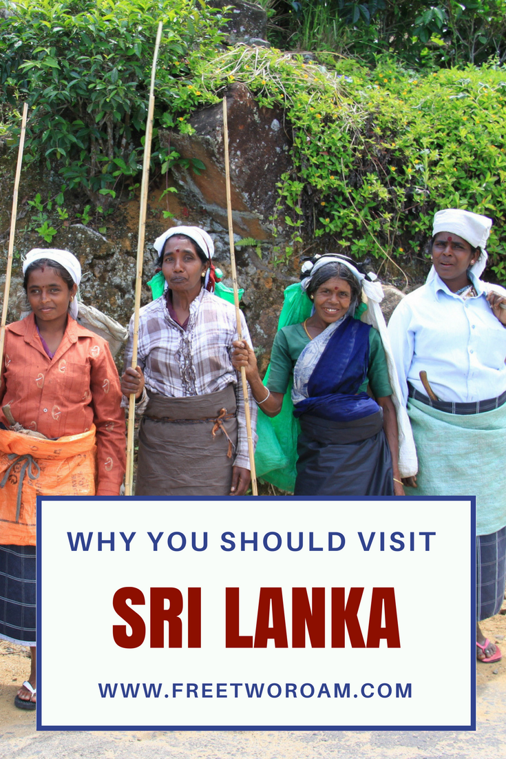 Why You Should Visit Sri Lanka - Free Two Roam