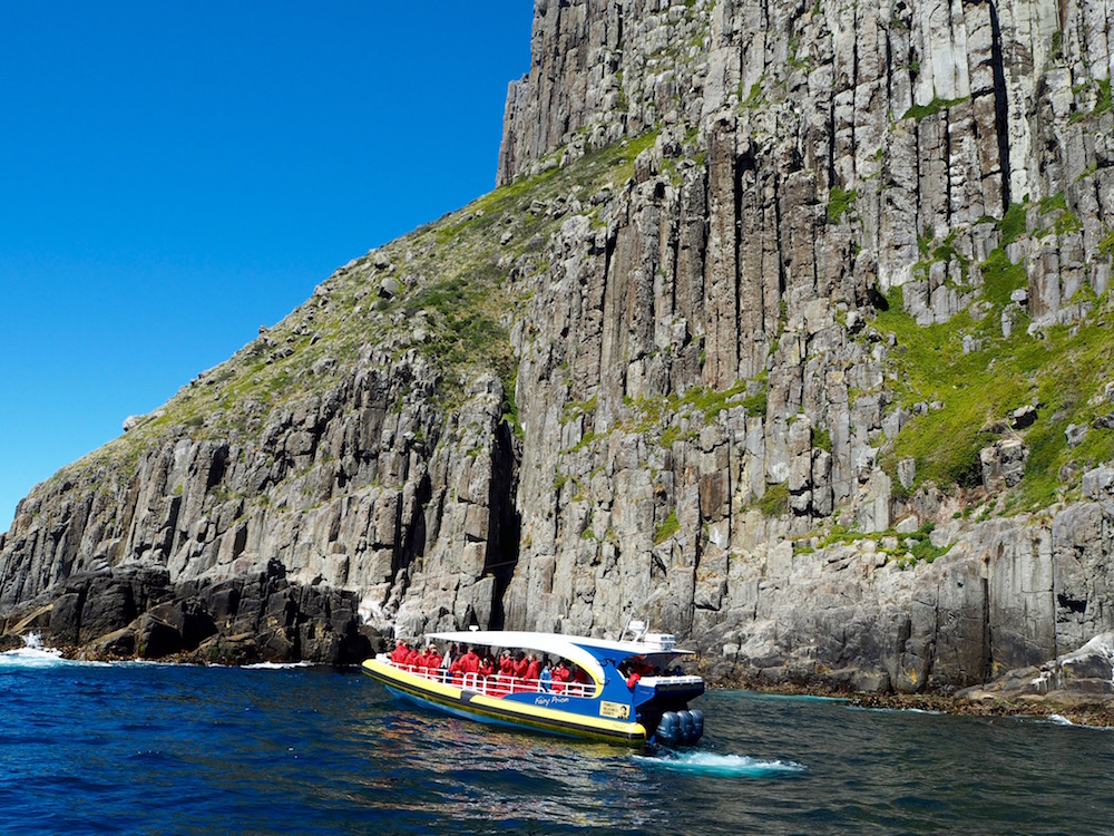 Our Three-Hour Tasman Island Wilderness Cruise - Free Two Roam