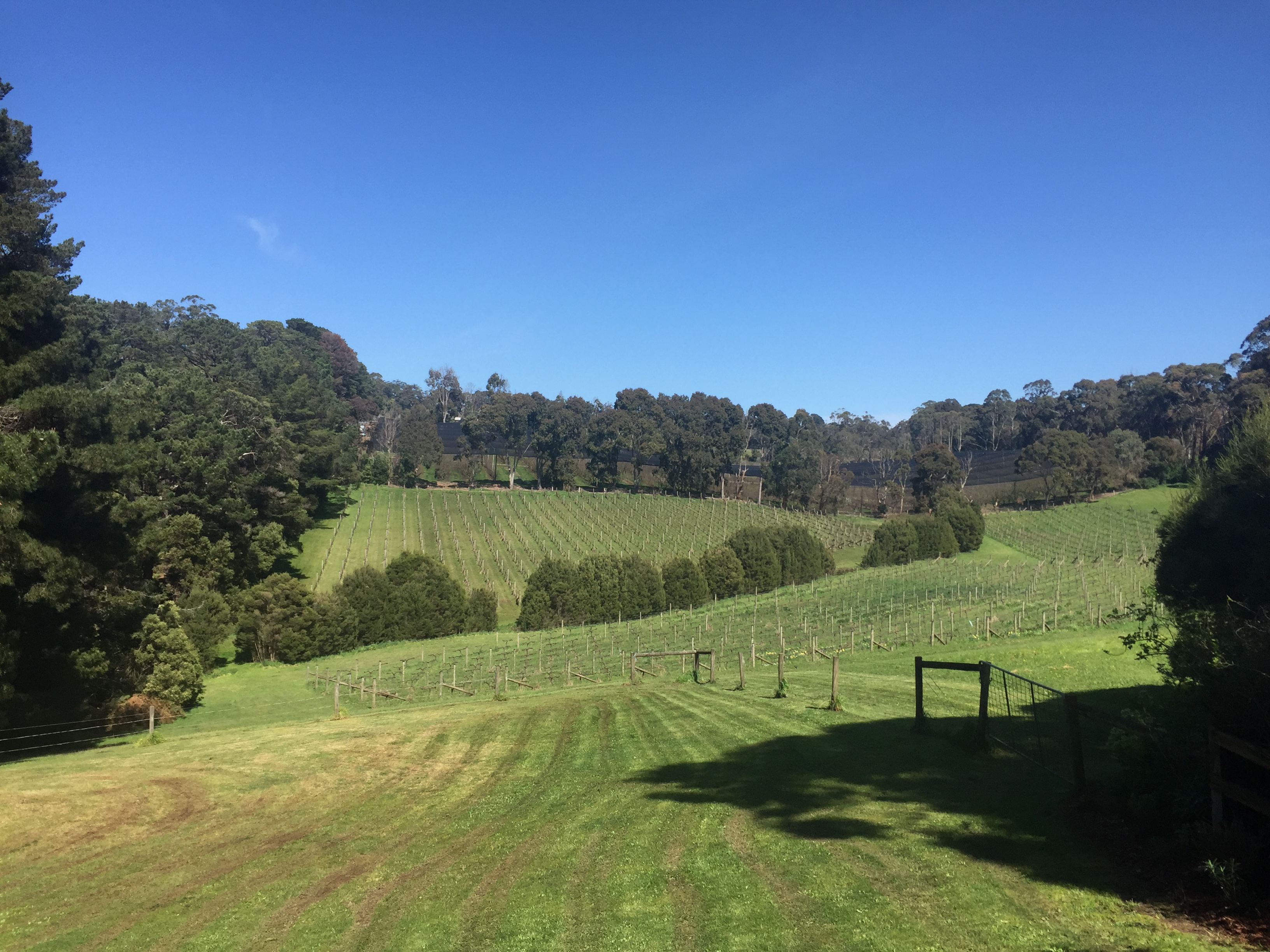 The Best Wineries On The Mornington Peninsula For Wining And Dining ...