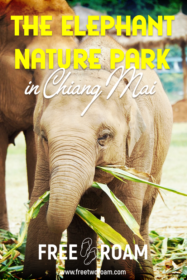 elephan-nature-park-pin - Free Two Roam