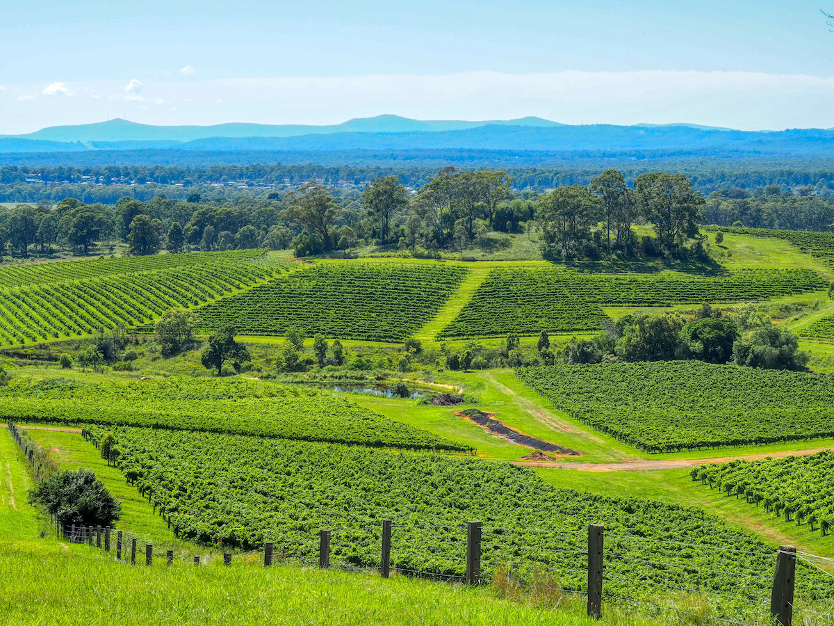 Our Top 5 Wineries in the Hunter Valley Free Two Roam