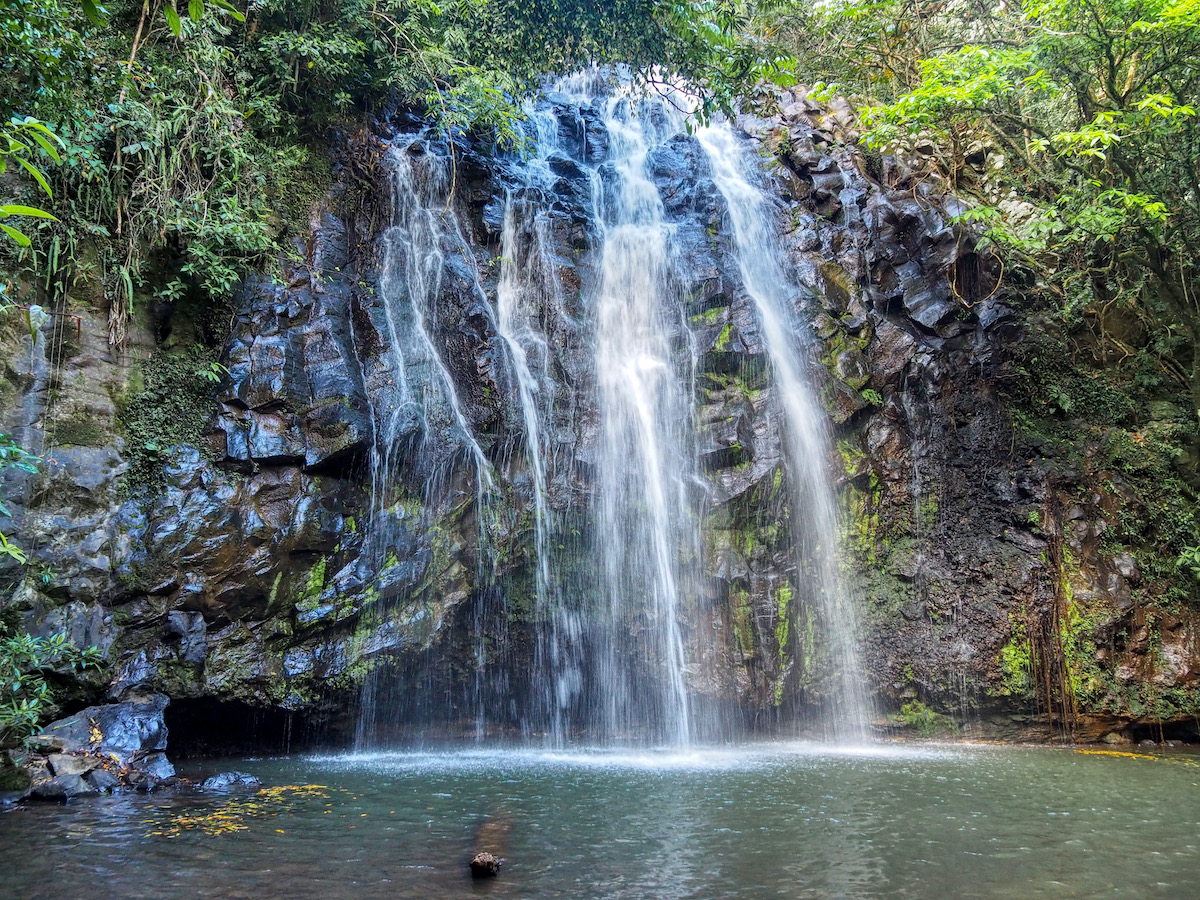 15 Best things to do in the Atherton Tablelands - Free Two Roam