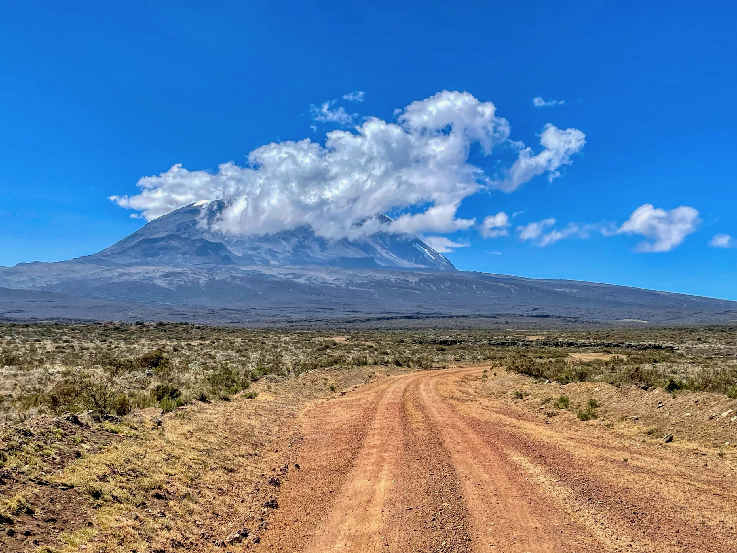 Mt Kilimanjaro: A Day Hike To The Shira Plateau - Free Two Roam